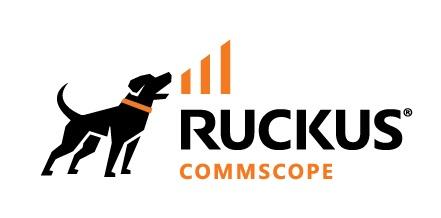 Ruckus Wireless CommScope Ruckus Networks 25GE SFP28 DAC, PASSIVE, 3M (E25G-SFP28-TWX-P-0301)