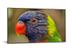 DYNASCAN Ultra High Brightnes 75 inch