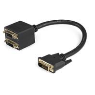 StarTech 1ft DVI Splitter Cable - M / F - DVI-D to 2x DVI-D Dual Video Splitter for Your Split Screen Computer Monitor (DVISPL1DD) - videosplitter - DVI - 30.5 cm