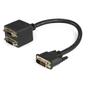 STARTECH 30cm DVI-D to 2x DVI-D Digital Video Splitter Cable - M/F