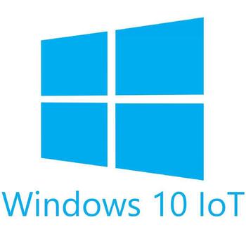 FEC Microsoft Win 10 Enterprice (WIN 10 IOT VALUE $DEL)