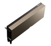 Hewlett Packard Enterprise NVIDIA A100 40GB GPU MODU 