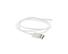 OWC USB to Lightning Connector