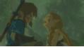 NINTENDO The Legend of Zelda: Breath of the Wild Switch (0045496420055)
