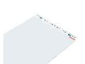 ESSELTE Flipover blok TMP 60x 84cm ulinieret5/pk