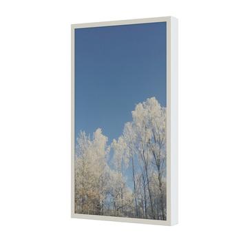 Hi-ND Wall Casing 55"" Portrait for Samsung, LG & Philips, White RAL 9003 (WC5500-5001-01)