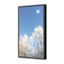 Hi-ND Wall Casing 32"" Portrait for Samsung, LG & Philips, Polycarbonate protection, Black RAL 9005