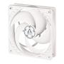 ARCTIC COOLING Case acc Fan 12cm Arctic P12 PWM PST white 120mm, Controlled Speed PST