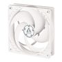 ARCTIC COOLING P12 Case Fan 120mm w/ PWM control White