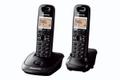 PANASONIC Telephone Dect Telephone 