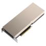 PNY TESLA A100 80GB PCIE   CTLR