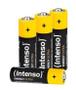 INTENSO Household Battery Single-Use 