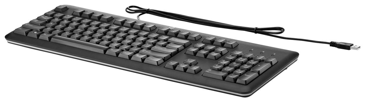 HP USB Keyboard for PC US INT (QY776AA#B13)