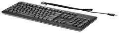 HP USB Keyboard for PC US INT
