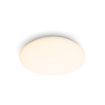 PHILIPS Functional Ceiling Light (915005778201)