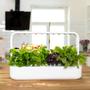 Click & Grow Smart Garden 9 startsæt - hvid (SG9S1UNI)