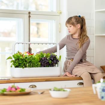 Click & Grow Smart Garden 9 startsæt - Mørkegrå (SG9S8UNI)