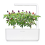 Click & Grow Taimekapsel Click &amp; Grow Plant pod 3-pack, tšillipipar (SGR46X3)