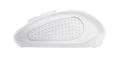 TRUST Primo 1600 DPI Wireless Optical White Mouse (24795)