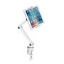Neomounts by Newstar Tablet Desk Clamp suited from 4.7inch up to 12.9inch White (DS15-545WH1)