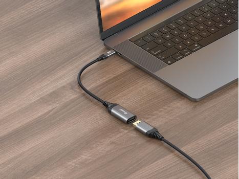 EQUIP Usb-C To Displayport 1.4 (133493)
