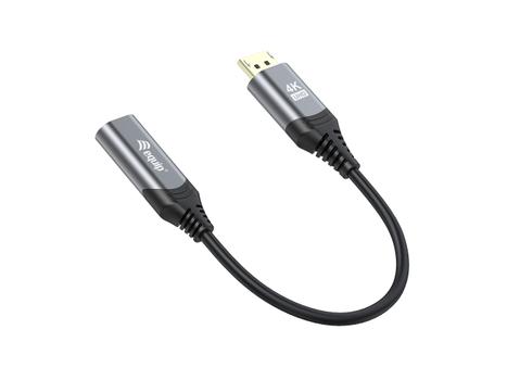 EQUIP Displayport 1.2 To Hdmi (133445)