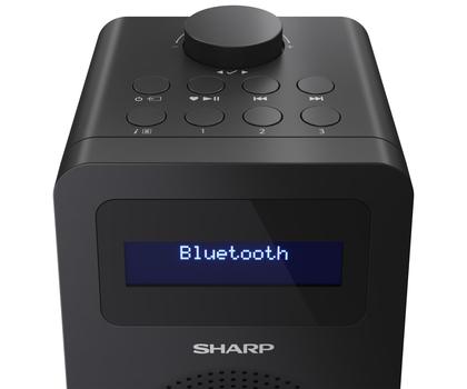 SHARP TOKYO Digital Radio -  (DR-430(BK))