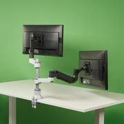 R-GO Tools R-GO Caparo D2 circular dual monitor arm desk mount, gas lif