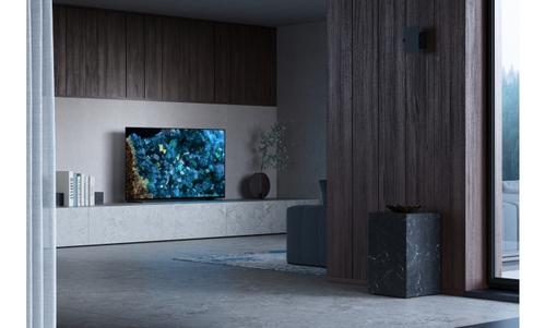 SONY 55" OLED Tuner and 3yrs PrimeSupport (FWD-55A80L)