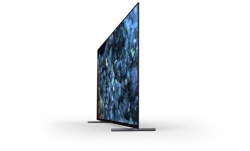 SONY 55" OLED Tuner and 3yrs PrimeSupport (FWD-55A80L)
