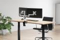 Neomounts by Newstar FPMA-D1330DSILVER Desk Mount Clamp/ Grommet 2xFlatscreen 10-27inch 18kg VESA 75x75/ 100x100mm tilt swivel rotate pivot silver (FPMA-D1330DSILVER)