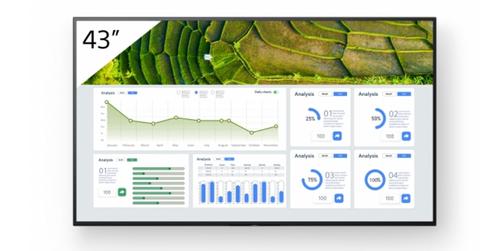 SONY 43"" FW-43BZ30L (FW-43BZ30L)