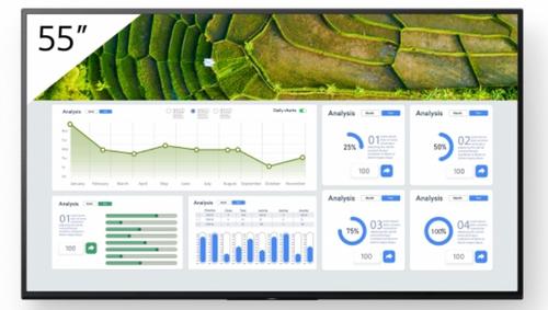 SONY 55"" FW-55BZ30L (FW-55BZ30L)