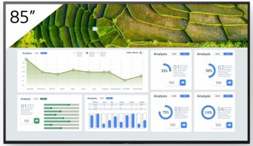 SONY 85"" FW-85BZ30L (FW-85BZ30L)