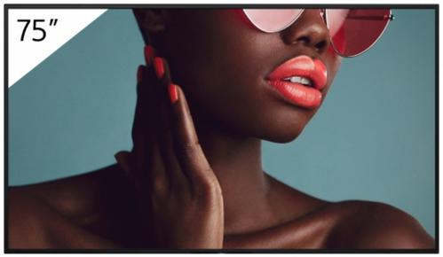 SONY 75""  FW-75BZ40L (FW-75BZ40L)