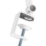 Neomounts by Newstar Tablet Desk Clamp suited from 4.7inch up to 12.9inch White (DS15-545WH1)