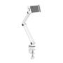 Neomounts by Newstar Tablet Desk Clamp suited from 4.7inch up to 12.9inch White (DS15-545WH1)