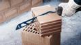 BOSCH Expert Hollow Brick S 2243 HM - (2608900418)