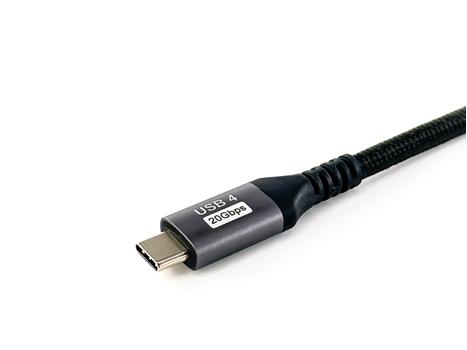 EQUIP Usb4 Gen 2X2 C To C Cable, (128382)