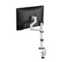 Neomounts by Newstar s DS60-425WH1 - Mounting kit (articulating arm) - full-motion - for Monitor - steel - white - screen size: 17"-27" - desk-mountable (DS60-425WH1)