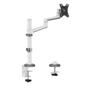 Neomounts by Newstar Screen Desk Mount 17-27inch clamp+grommet 1 screen White (DS60-425WH1)