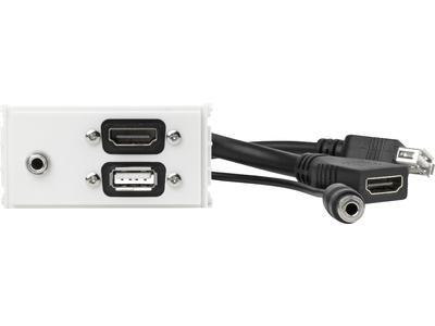 VIVOLINK Outlet Panel HDMI, USB, AUD (WI221281)