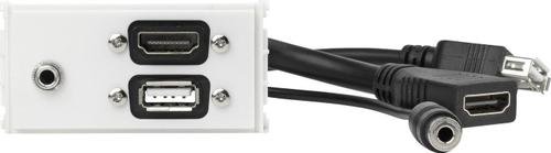 VIVOLINK Outlet Panel HDMI, USB, AUD (WI221294)
