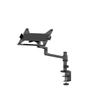 Neomounts by Newstar Laptop Desk Mount 11-17inch clamp+grommet 1 screen Black