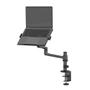 Neomounts by Newstar s DS20-425BL1 - Mounting kit (articulating arm) - full-motion - for notebook - steel - black - screen size: 11.6"-17.3" - desk-mountable (DS20-425BL1)