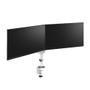 Neomounts by Newstar s DS60-425WH2 - Mounting kit (articulating arm) - full-motion - for 2 monitors - steel - white - screen size: 17"-27" - desk-mountable (DS60-425WH2)
