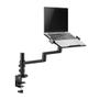 Neomounts by Newstar s DS20-425BL1 - Mounting kit (articulating arm) - full-motion - for notebook - steel - black - screen size: 11.6"-17.3" - desk-mountable (DS20-425BL1)