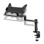 Neomounts by Newstar s DS20-425BL1 - Mounting kit (articulating arm) - full-motion - for notebook - steel - black - screen size: 11.6"-17.3" - desk-mountable (DS20-425BL1)