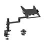 Neomounts by Newstar s DS20-425BL1 - Mounting kit (articulating arm) - full-motion - for notebook - steel - black - screen size: 11.6"-17.3" - desk-mountable (DS20-425BL1)