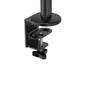 Neomounts by Newstar s DS20-425BL1 - Mounting kit (articulating arm) - full-motion - for notebook - steel - black - screen size: 11.6"-17.3" - desk-mountable (DS20-425BL1)